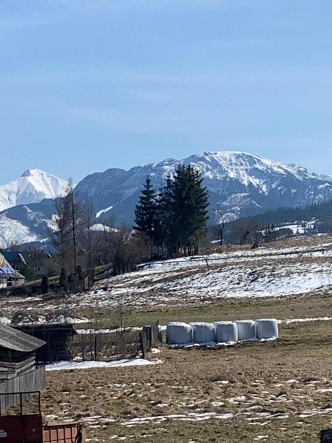 Domki Magdalena Przy Termach Chocholowskich Witów Exterior foto